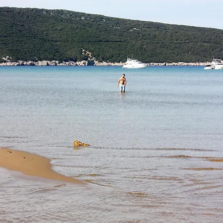 With Parking Space Lopar, Rab - 14070